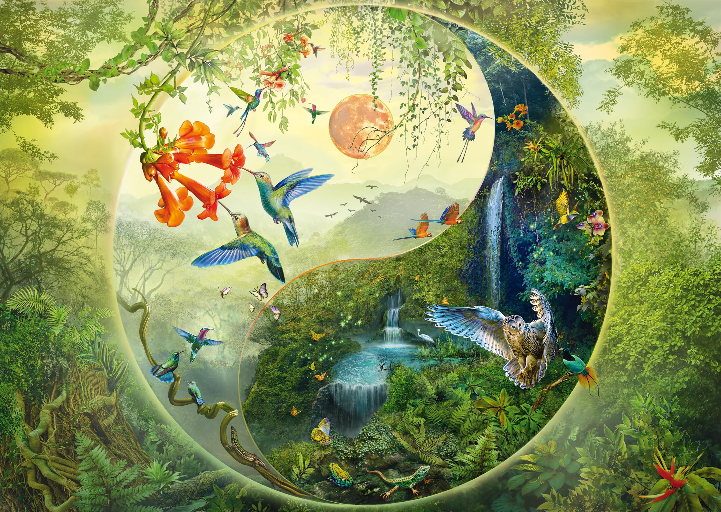 Schmidt Spiele 58595 Yin & Yang, In the Forest of Hummingbirds, Silvia Christoph, 1000 Piece Puzzle