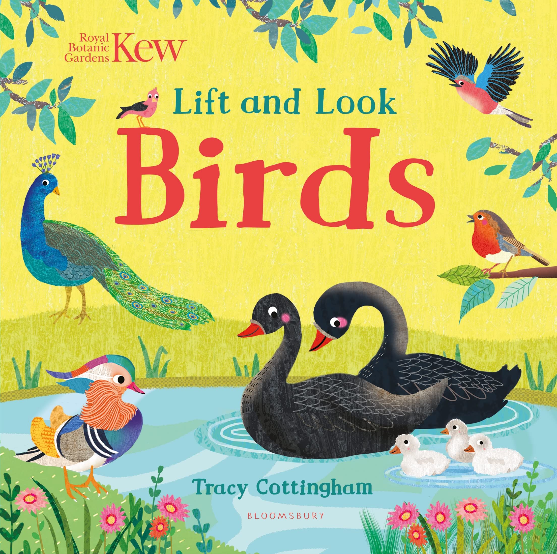Kew: Lift and Look Birds by Tracy Cottingham - 9781526636843