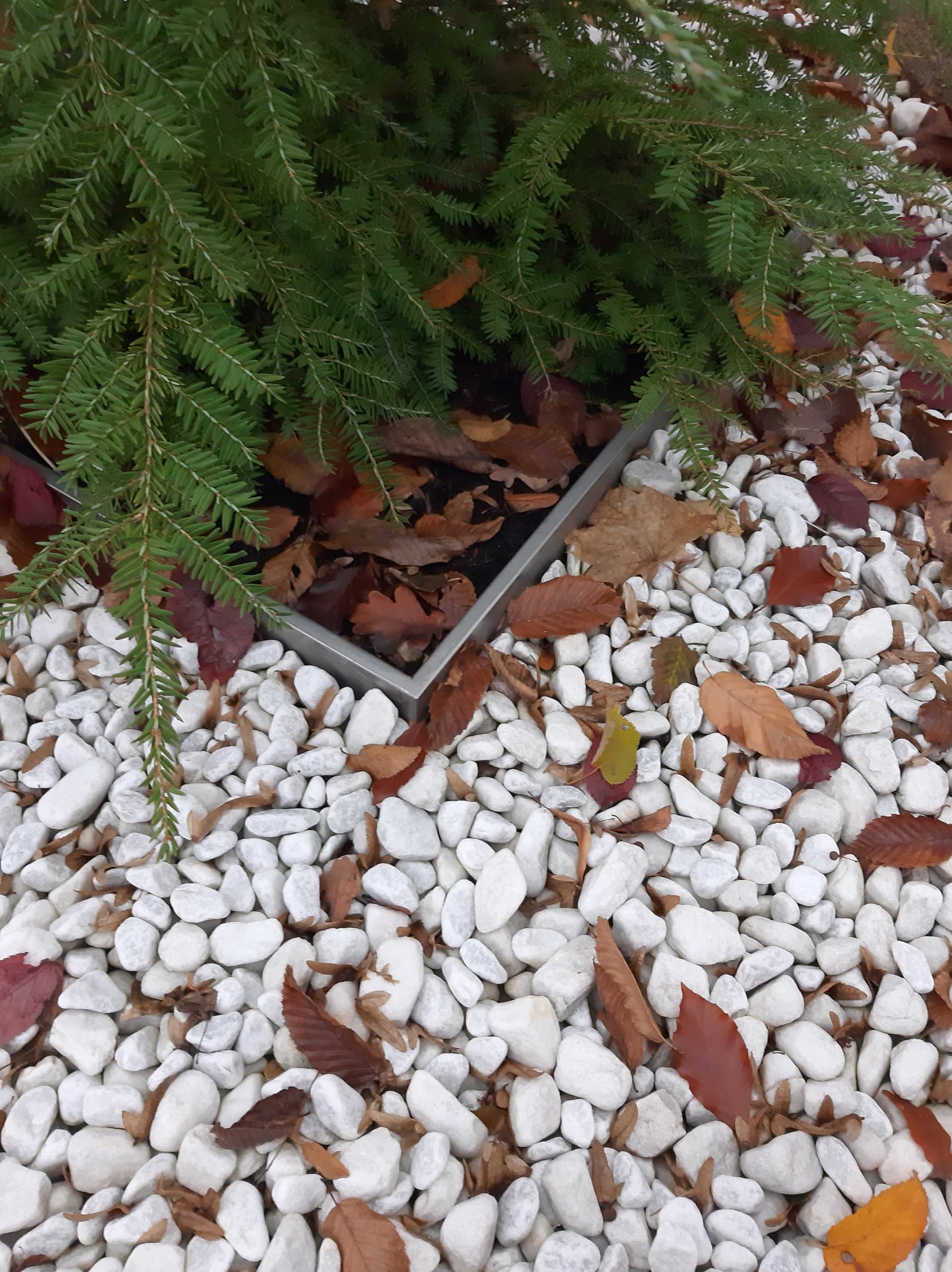 Rasenkantenband verzinkt 30 cm hoch 10 Meter lang 1mm dick Verschiedene Längen Beet Begrenzung
