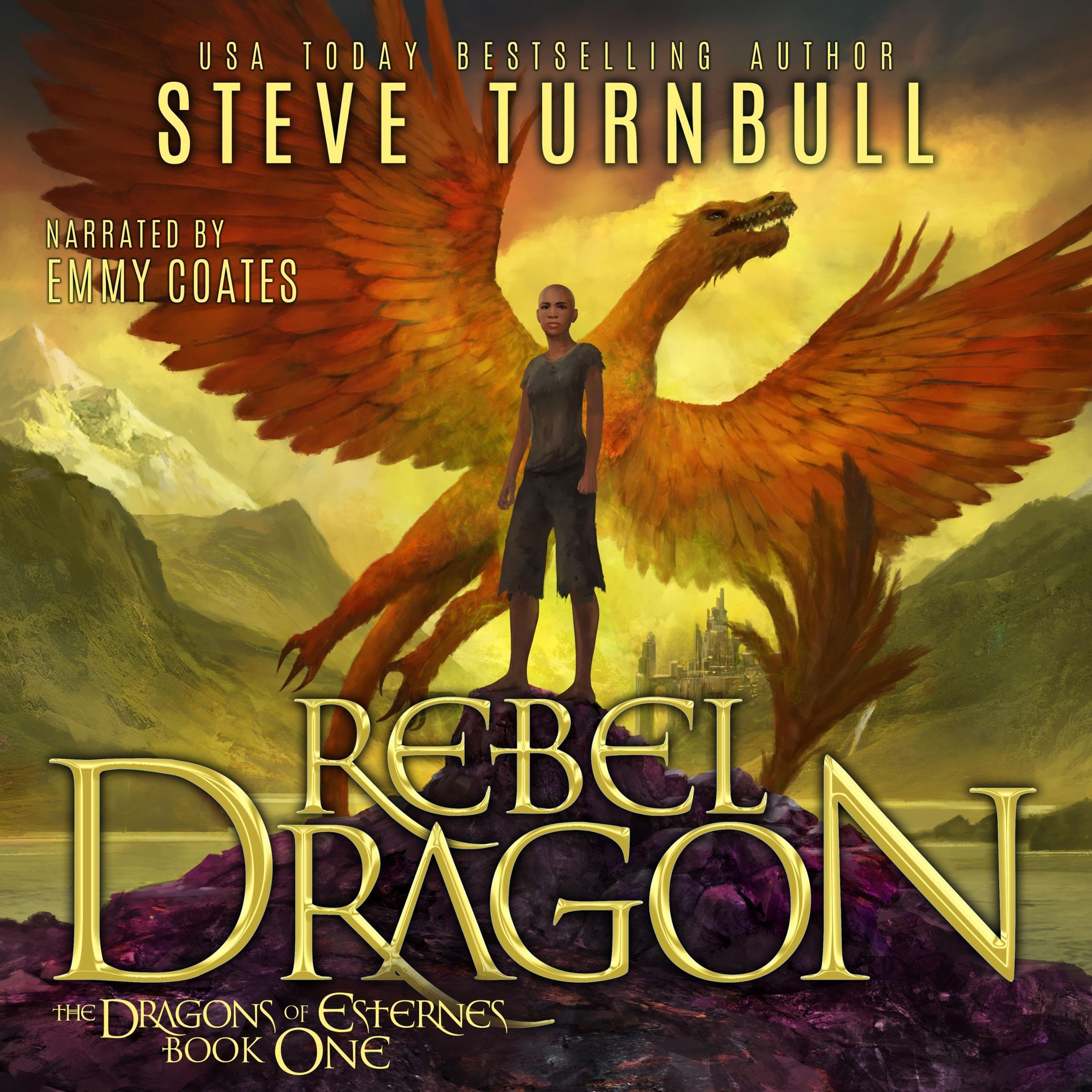 Cover art for Rebel Dragon