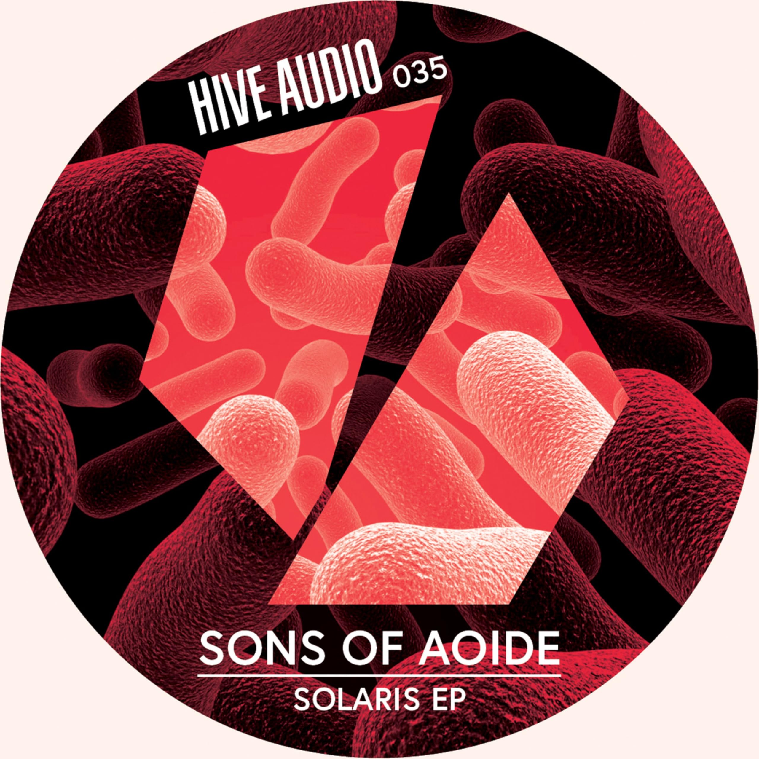 SONS OF AOIDE