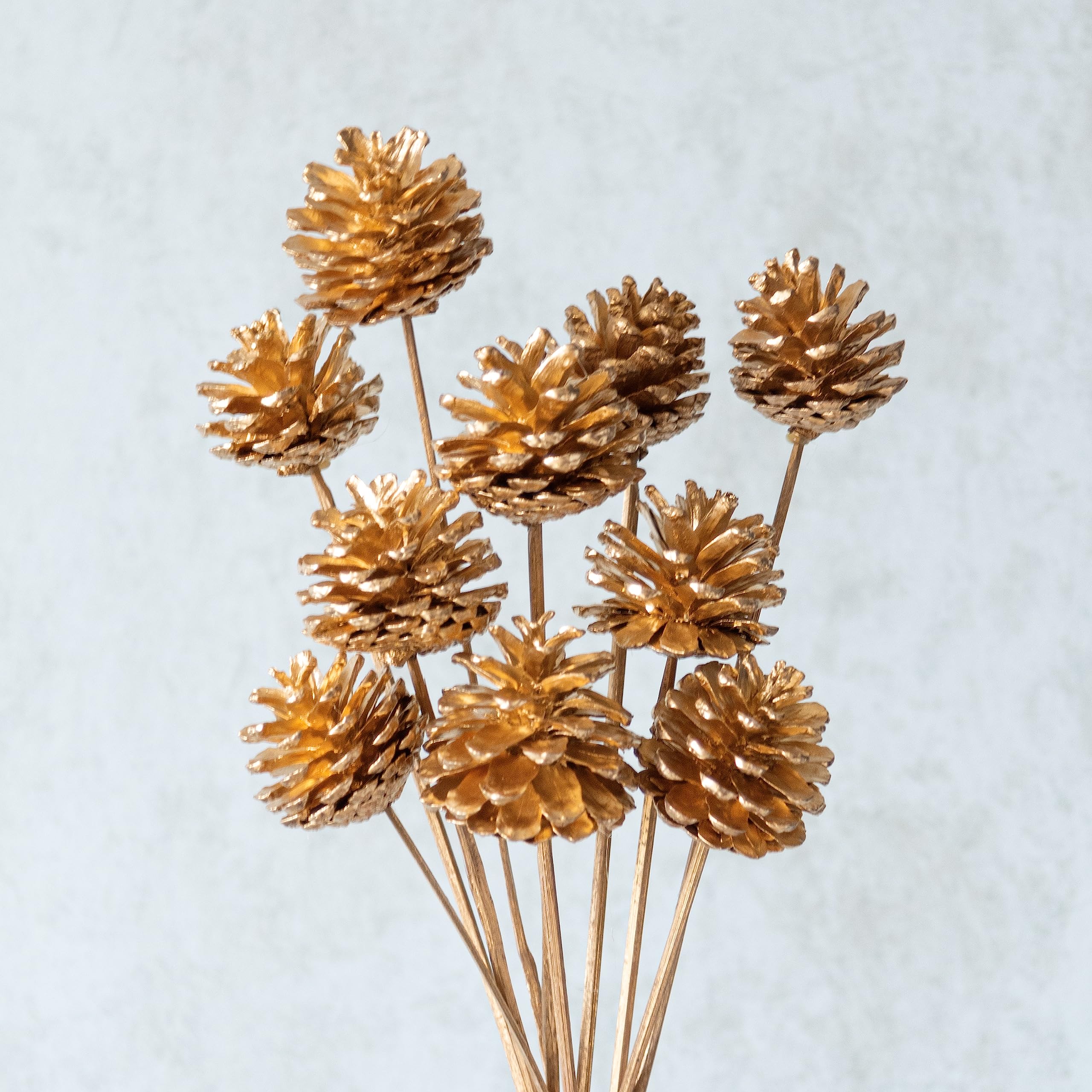 Flowers and Fillers Dried Golden Pine Cone 10 Sticks| Home Dcor | Vase Fillers |Eco-Friendly Flower-image-26