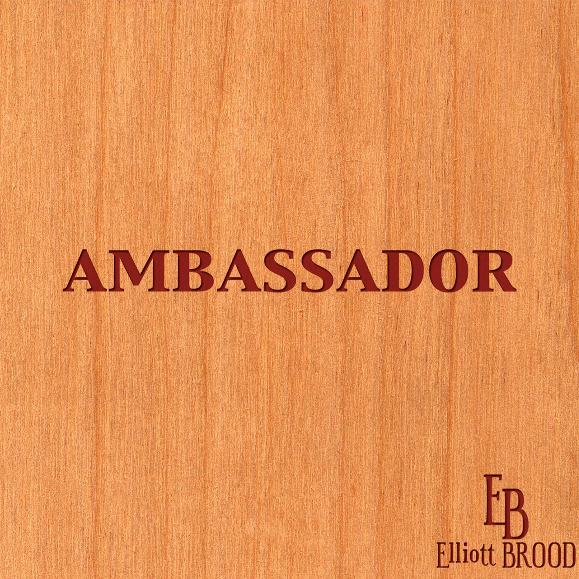 Ambassador [Audio CD] Elliott Brood