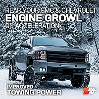 Vista 7 de Conjunto de ingreso de aire de rendimiento K & N