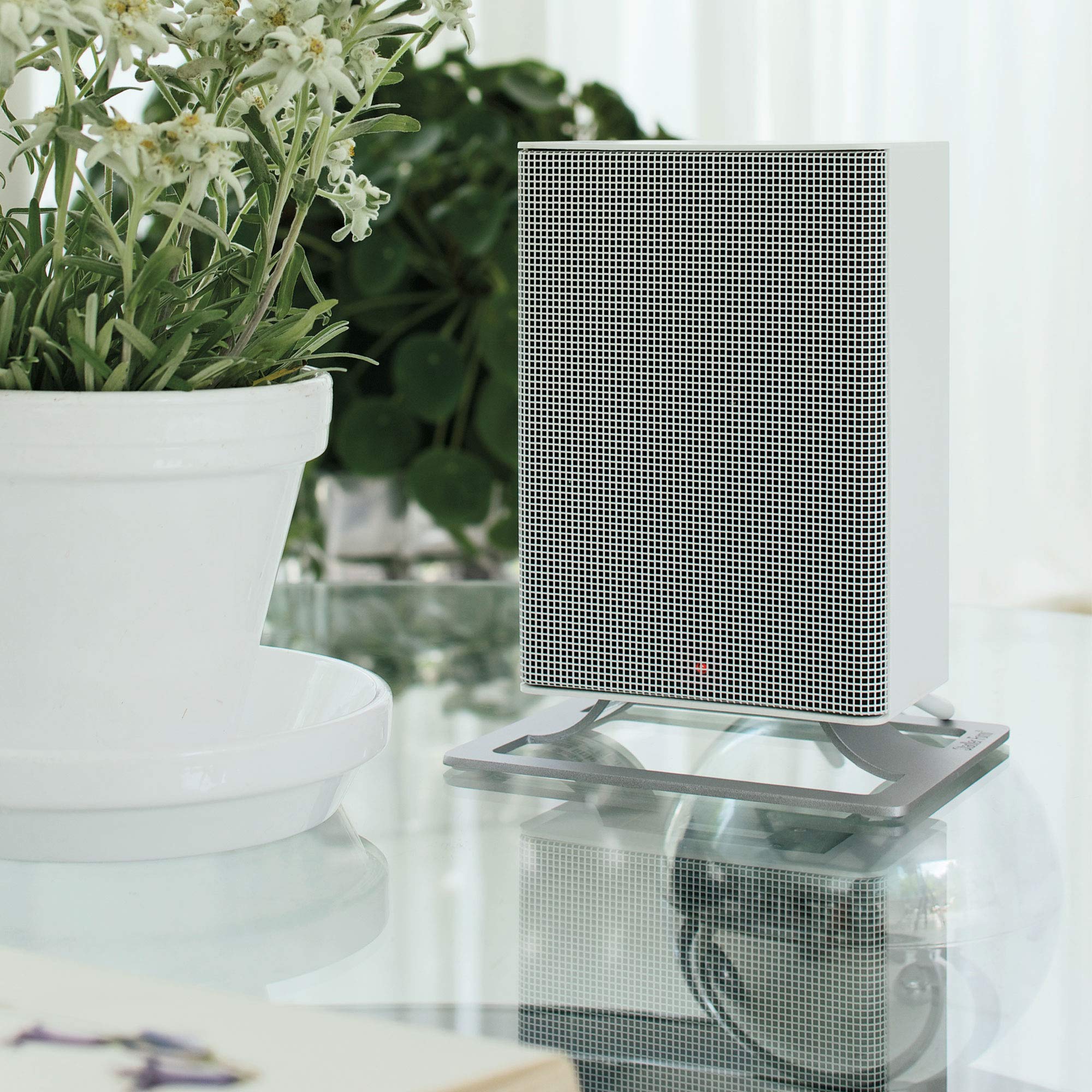 Stadler Form Fan Heater Anna Little, All Year Energy Efficient Electric  Heater with 2 Heat Setting and Modern PTC Ceramic Heating Element, White :  Amazon.co.uk: Home u0026 Kitchen