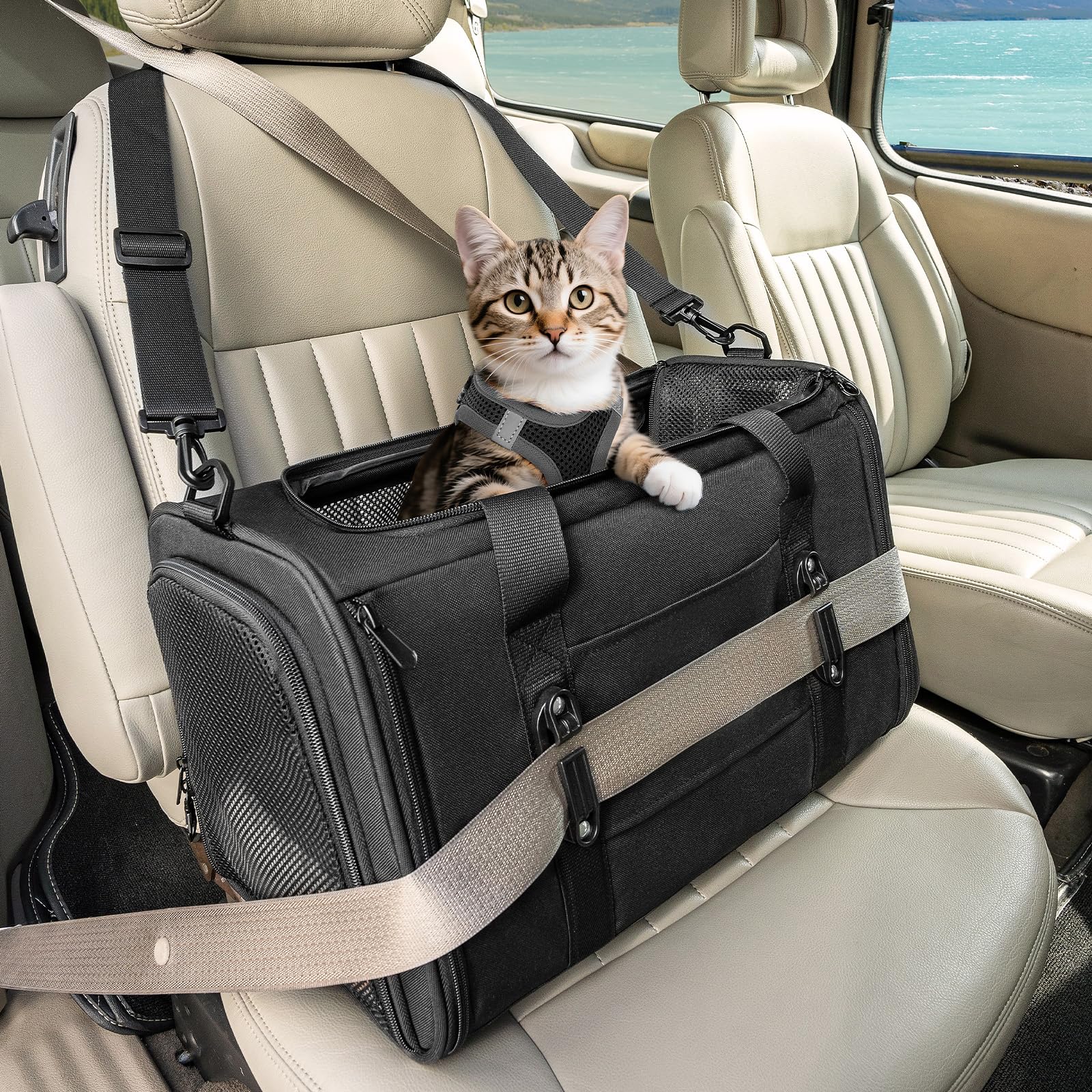 Transportín Gato y Perro Mediano Plegable - Bolsa Portátil con 2 Hebillas Seguridad, 4 Ventanas Malla y Cojín Lavable para Coche (Negro, M) Global Recycled Standard Global Recycled Standard Global Recycled Standard