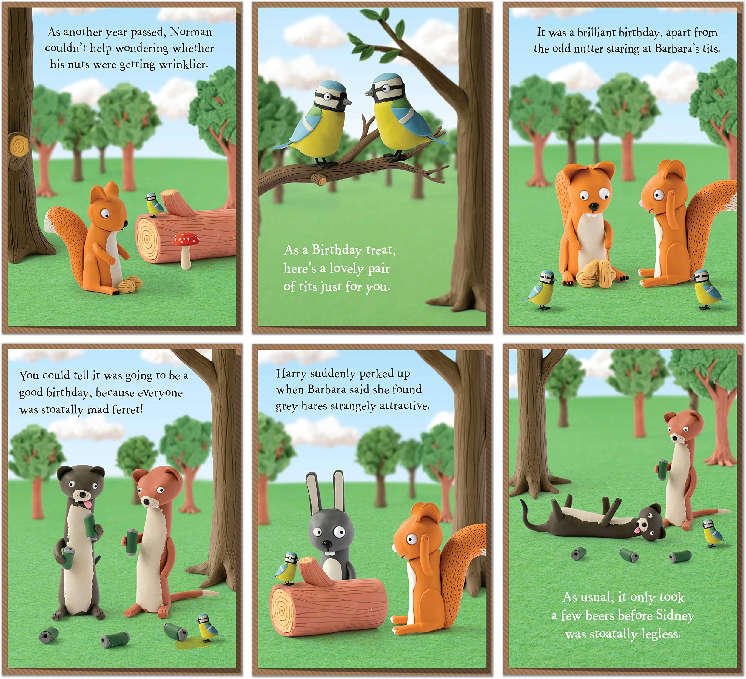 Six Funny Birthday Cards from Dangledown Wood. Fantastic Value 6 Card Pack