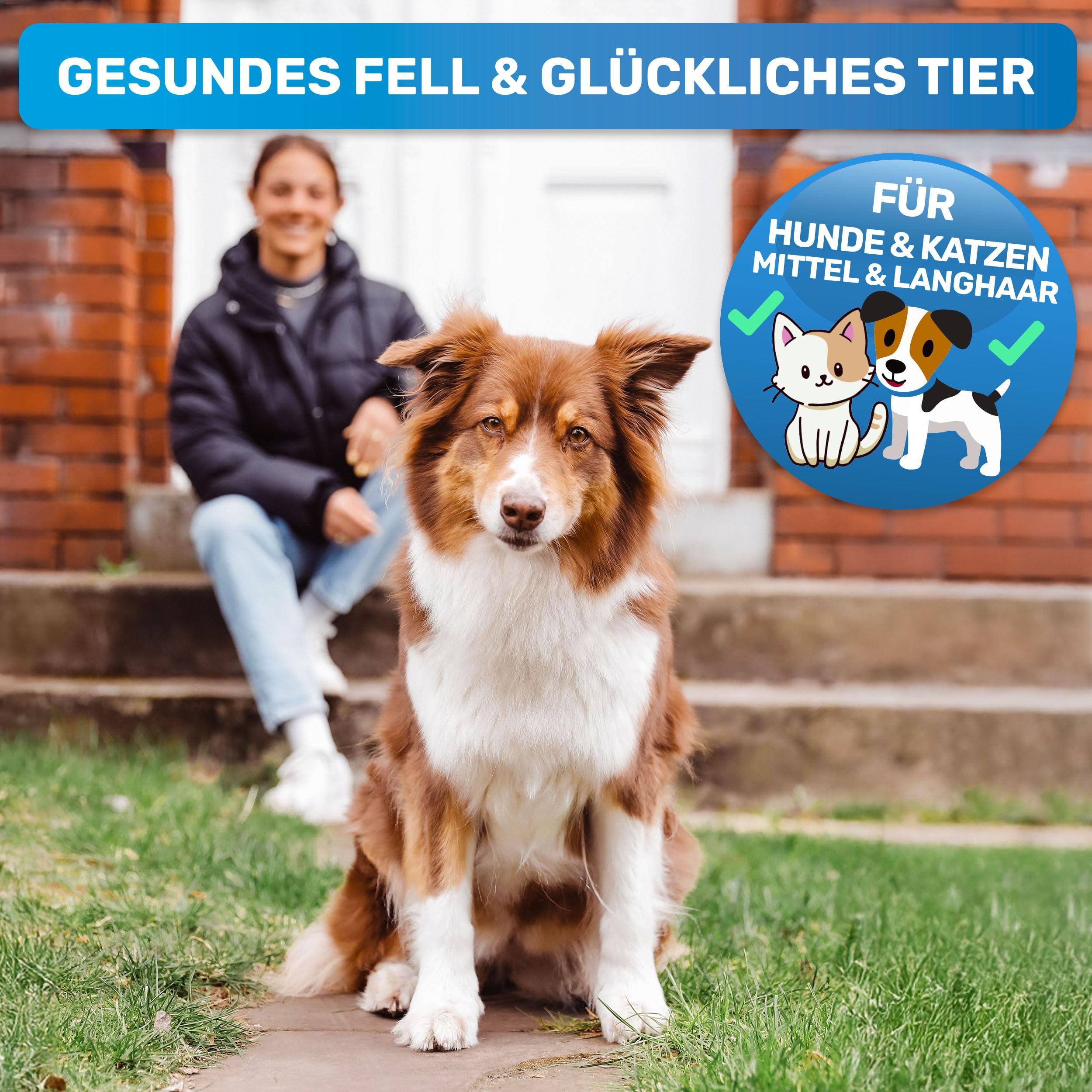 BluePet Hundebürste Unterwolle langhaar & Katzenbürste langhaar I Unterwollkamm entfernt Unterwolle & Verfilzungen I Deckhaarschutz & Knoten Entfernen I Unterfellbürste Hunde für Fellwechsel