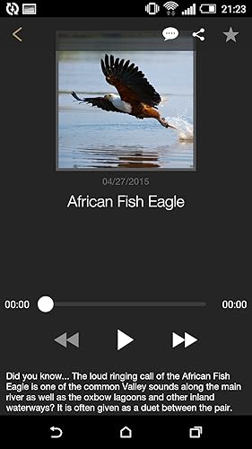 Did you know... African Wildlife