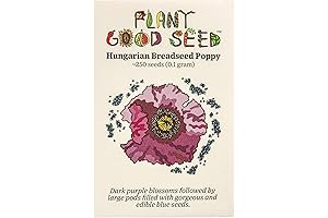 Hungarian Poppy Seeds - Pack of 250, Organic, Non-GMO, Untreated