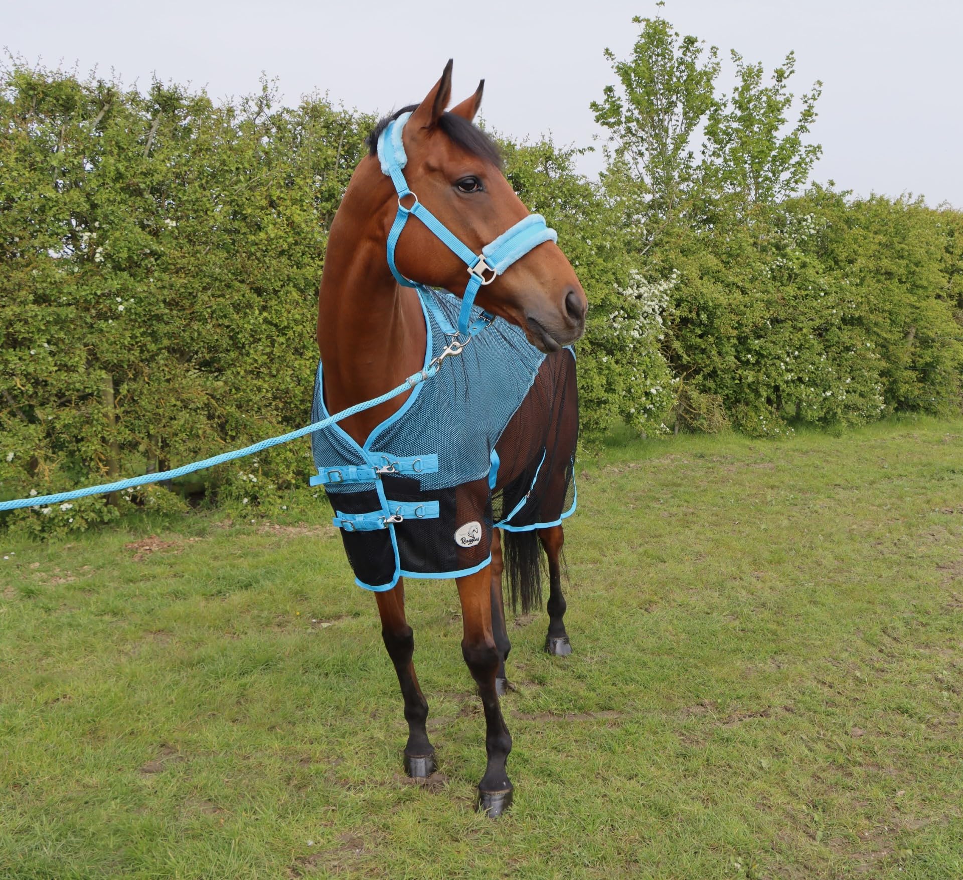 Ruggles Fleece/Mesh Cooler Rug for Horse and Ponies, Black?Sky Blue, 6' 3"