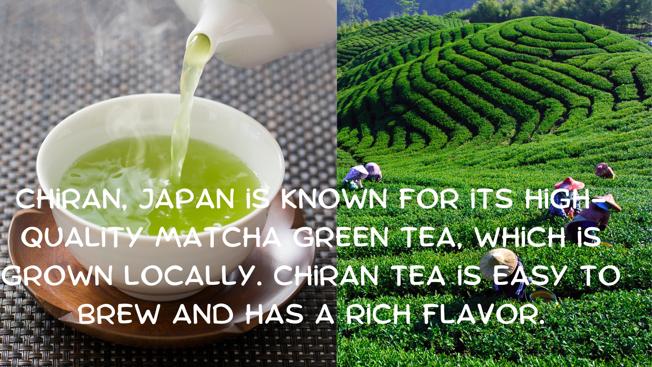 Herba Thea Green Tea Matcha Powder Chiran Harvest Japan for Cooking Baking and Smoothies 35 27 Ounces — view 9