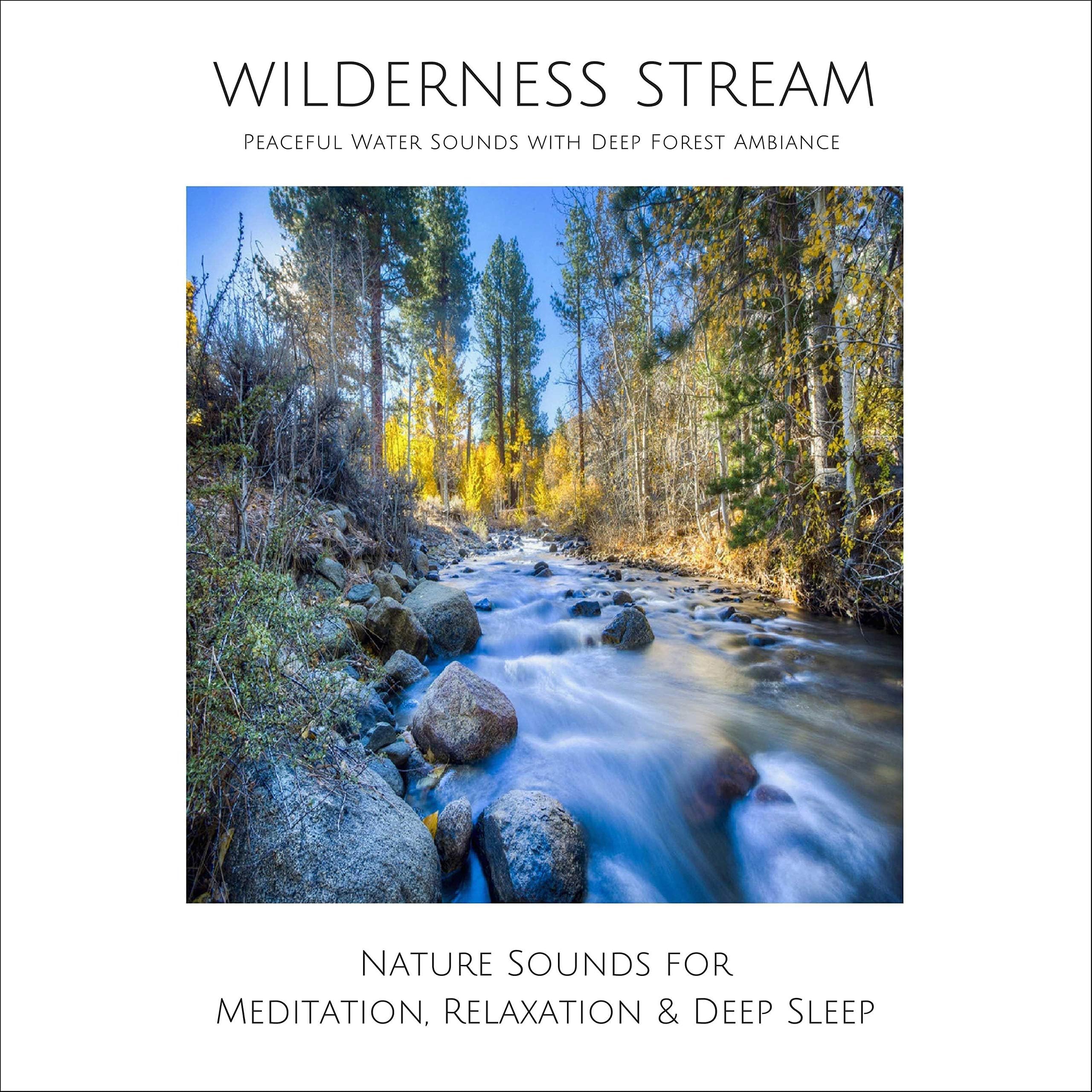Wilderness Stream. Peaceful Water Sounds with Deep Forest Ambience: Nature Sounds for Meditation, Studying, Focussing, Relaxation & Deep Sleep