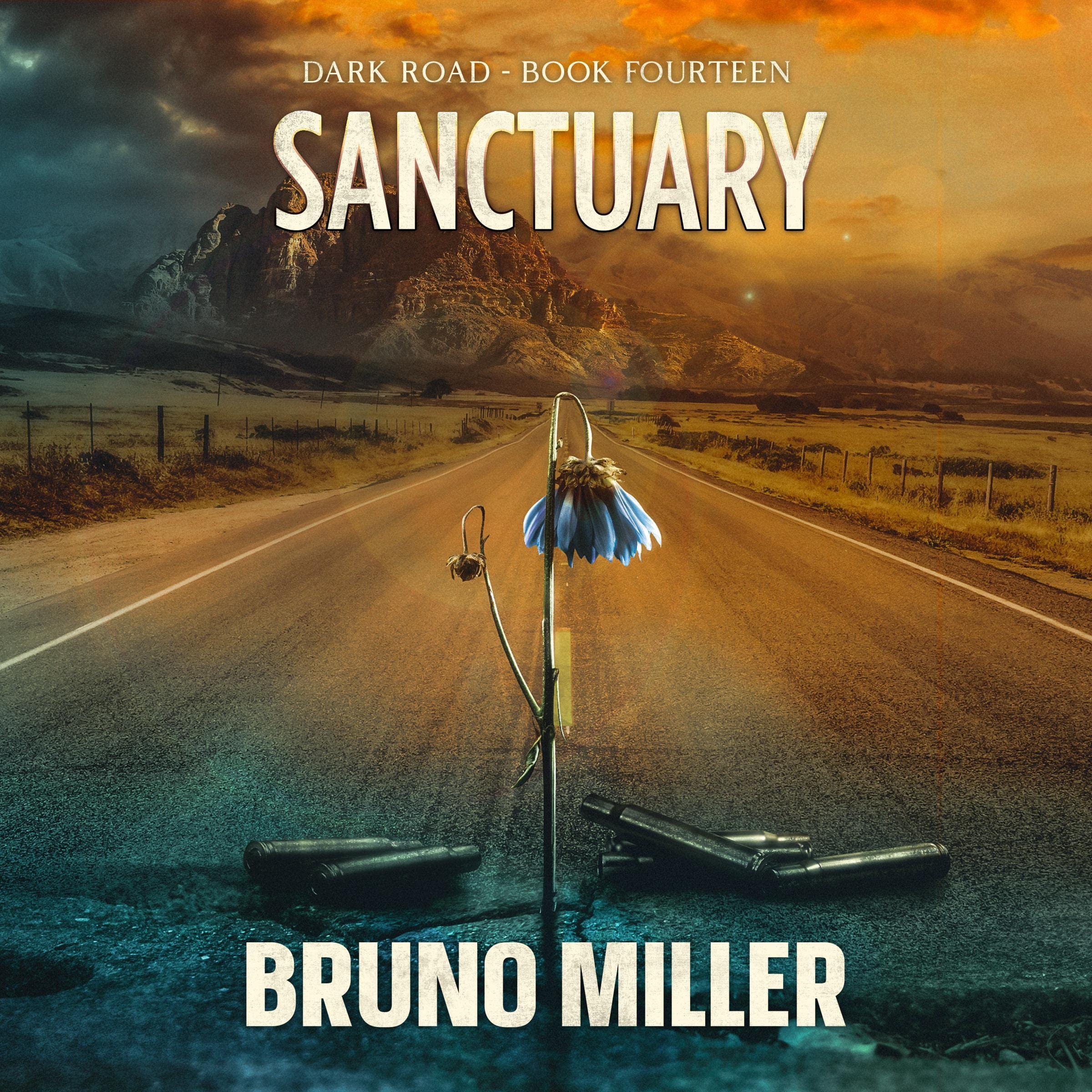 Cover art for Sanctuary: Dark Road, Book 14