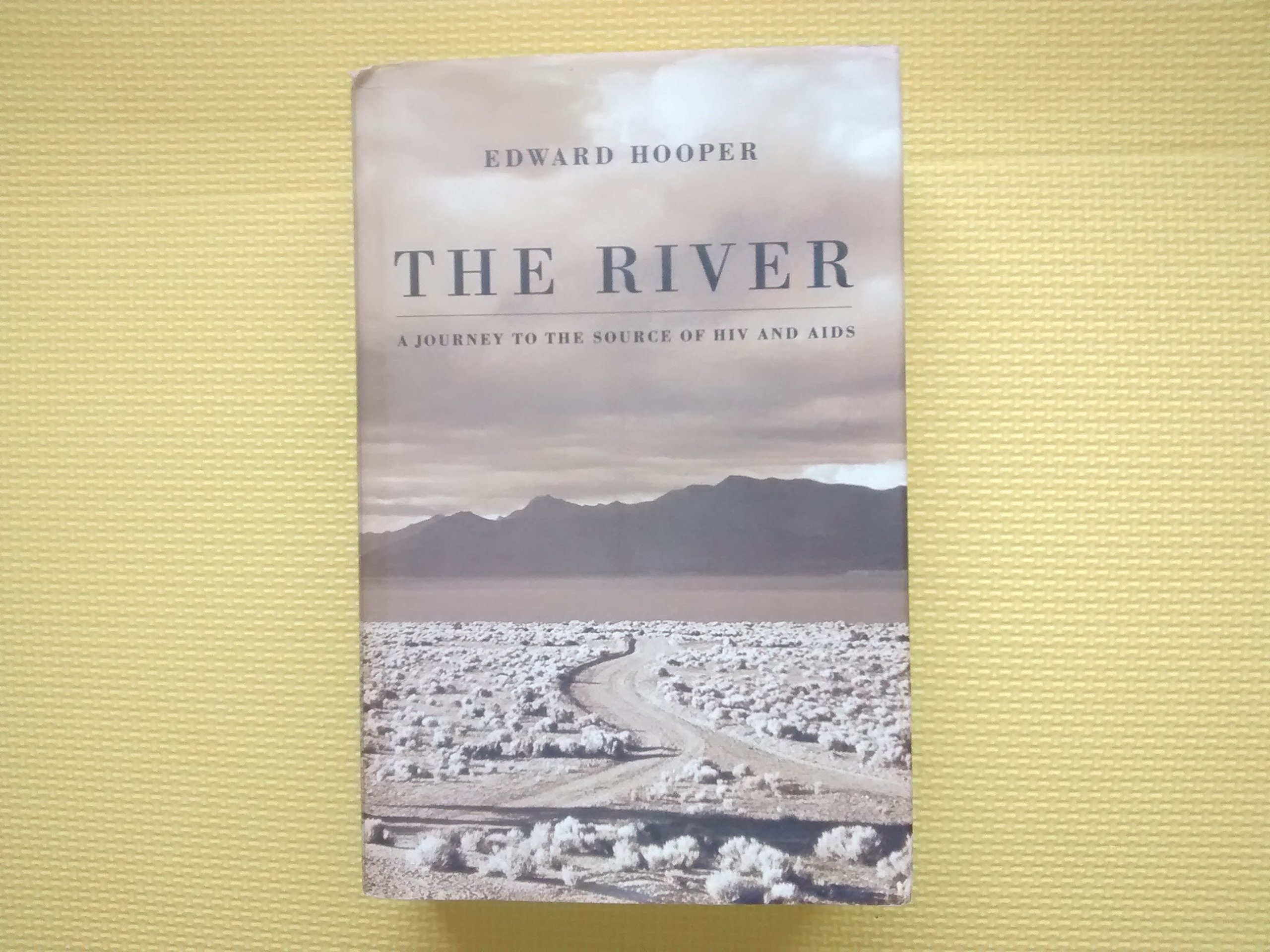 The River : A Journey to the Source of HIV and AIDS cover