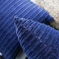 Vista 686 de UGASA - Juego de 2 fundas de almohada de terciopelo a rayas, funda decorativa para cojín con cremallera oculta para el hogar, sofá, dormitorio