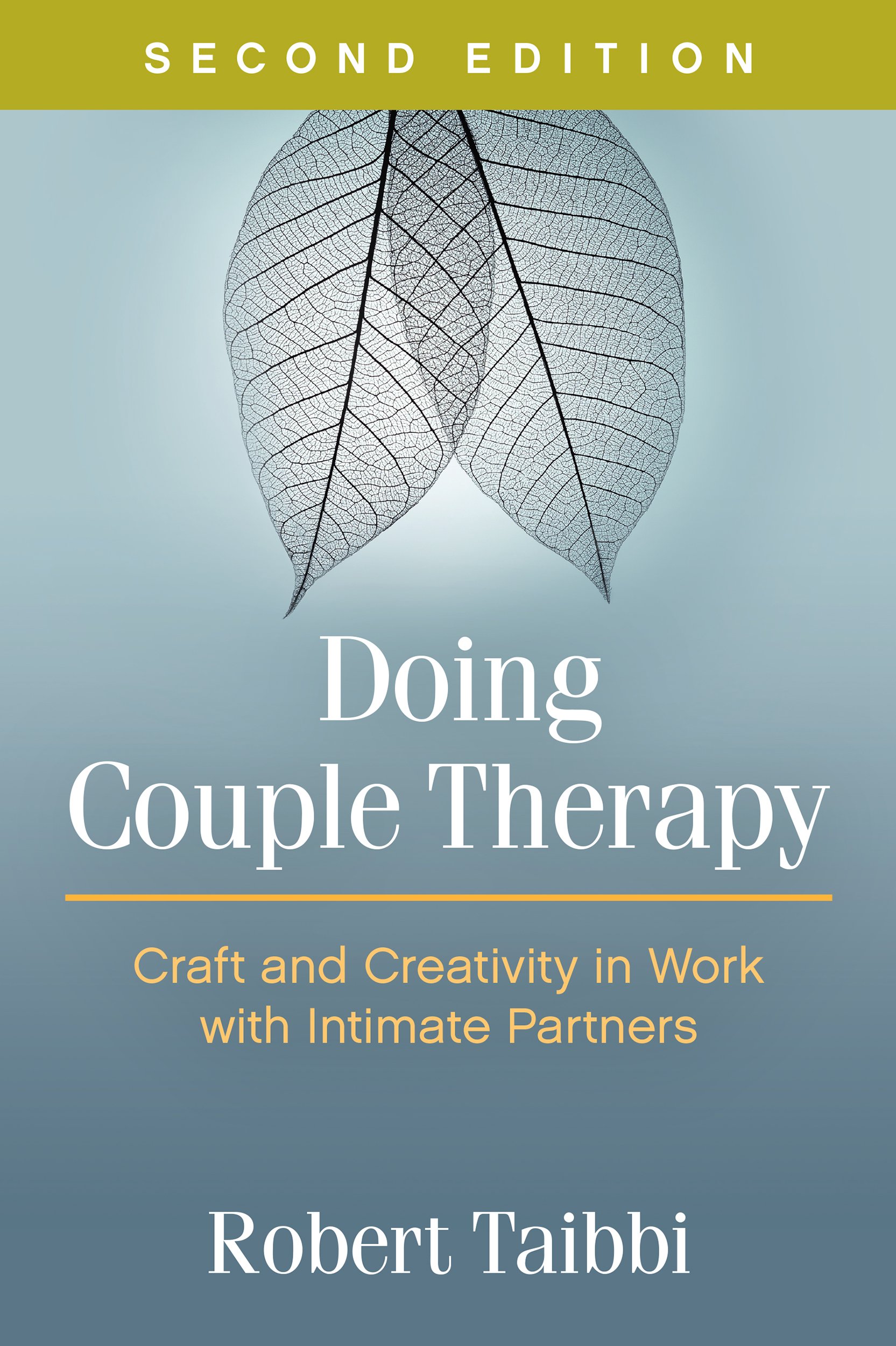 Doing Couple Therapy Second Edition by Robert Taibbi PAPERBACK 9781462530137