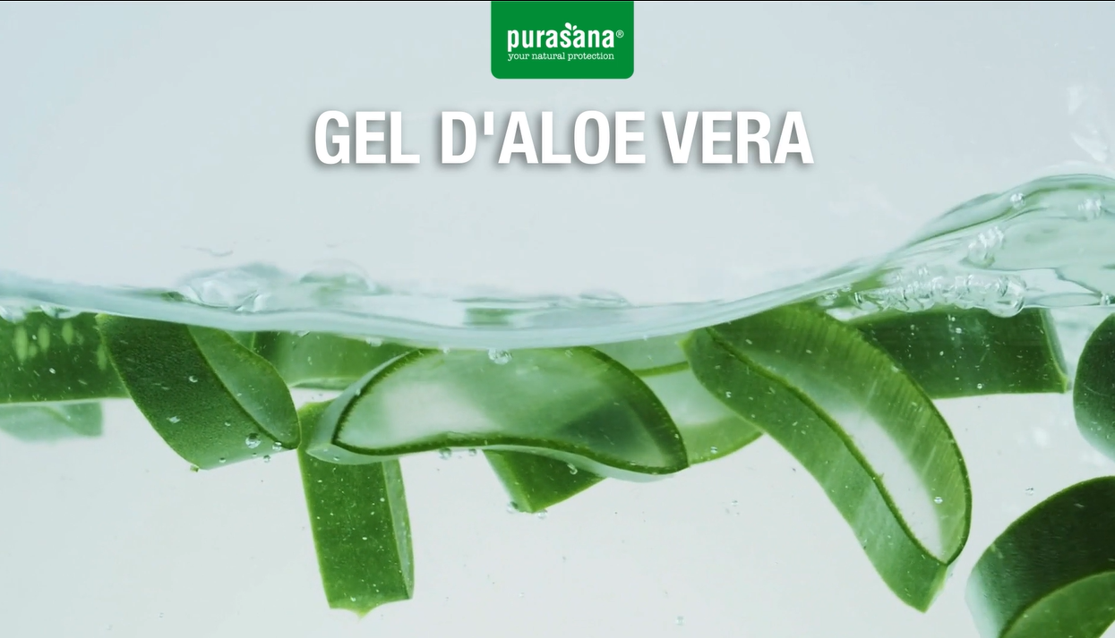 Purasana Aloe Vera Saft Trinkgel 99,3% - 1L, Reines Kaltgepresstes Aloe Gel  aus dem Inneren des Blattes, Frdert Hautgesundheit & Hydratation, Vegan &  Bio-Zertifiziert : Amazon.de: Drogerie & Krperpflege
