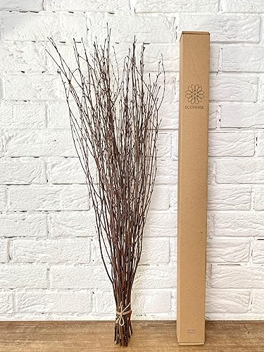 ECOVENIK 25 piezas - Ramas - 28.7 in, ramitas de abedul natural, paquete de 20-25 tallos, largo para jarrones de suelo, (color marrón natural)