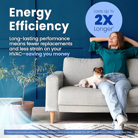 Genuine AprilAire 210 Replacement Filter for AprilAire Whole-House Air Purifiers - MERV 11, Clean Air & Dust, 20x25x4 Air Filter (Pack of 1)