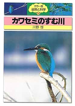 カワセミ卓鈴 Amazon.co.jp: カワセミのすむ川 (カラー版自然と科学 37