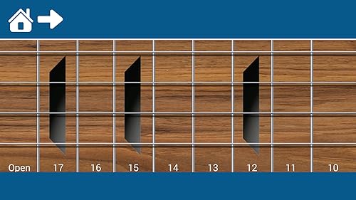 Bass Guitar