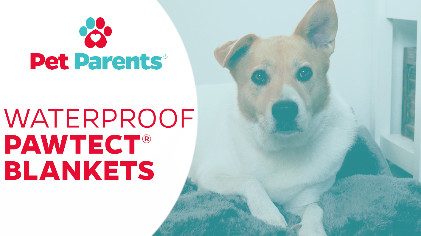Pet Parents Pawtect Blanket, Premium Waterproof Cat & Dog Blanket with WickQuick & Sherpup Technology, Puppy Blanket… - Image 7