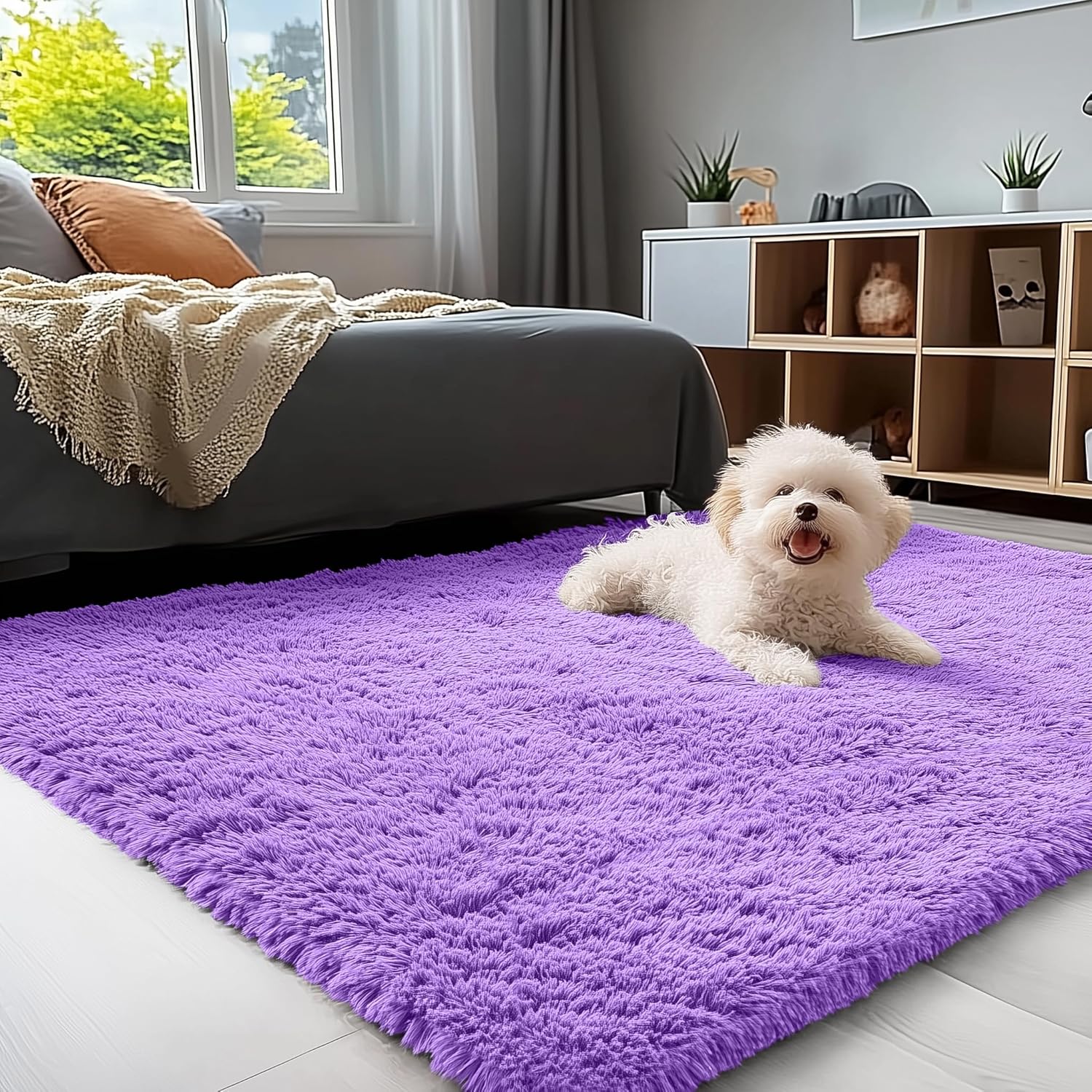 Amazon.com: OLANLY 3x5 Machine Washable Small Bedside Rug, Soft Fluffy ...