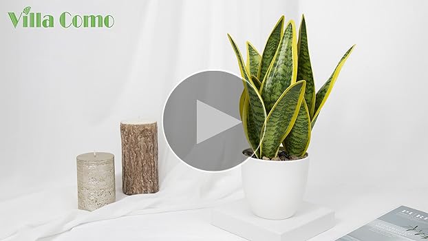 光触媒　人工観葉植物　フェイクグリーン　サンスベリアスタンドセット インテリアグリーン おしゃれ 人工観葉植物 おすすめ リアル