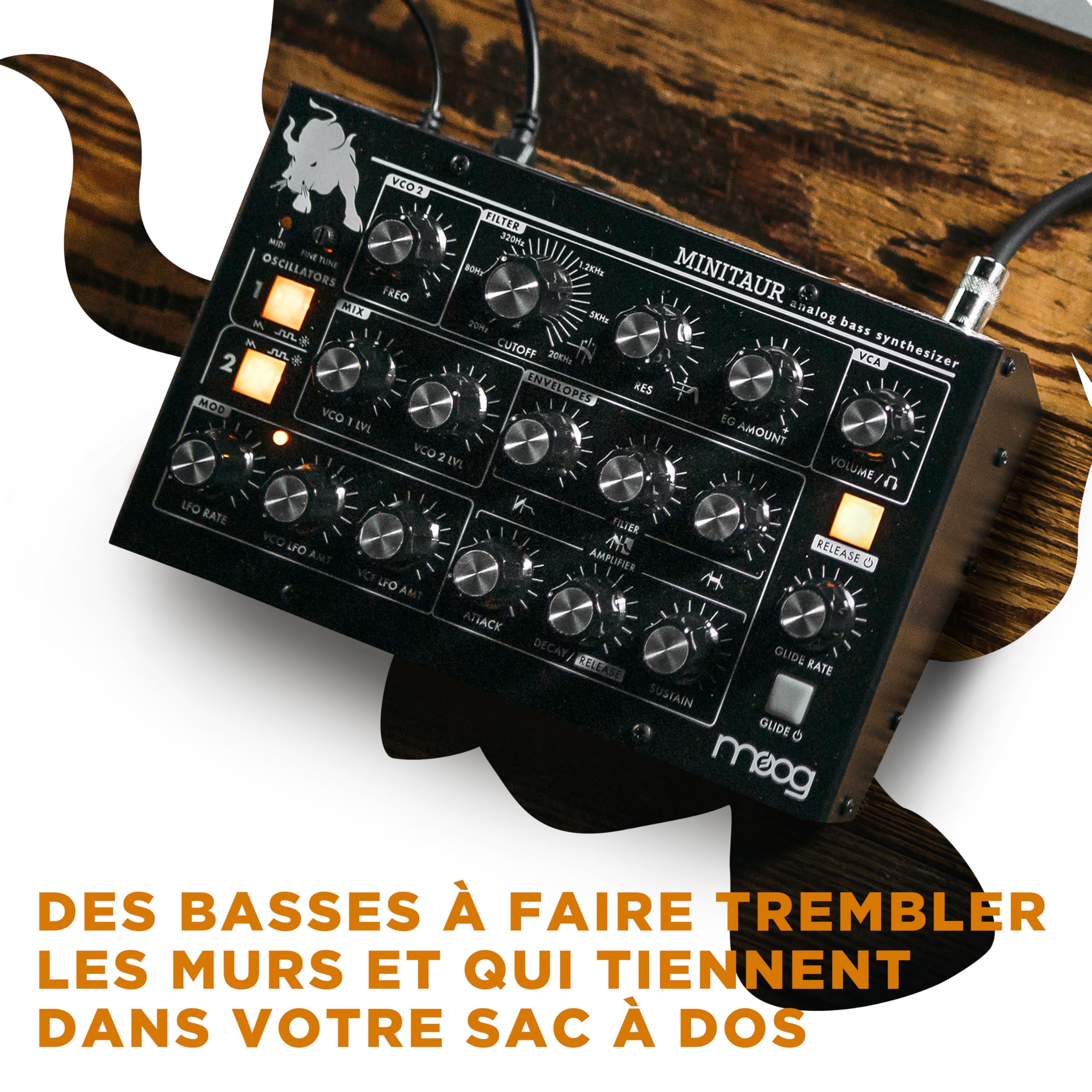 MOOG Minitaur Module Synthétiseur de Basses Analogique avec Amplificateur pour Casque, 128 Préréglages et Éditeur Logiciel