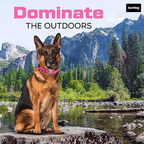 Miniatura 7 de Bontog Collar táctico para perros grandes con nailon acanalado de fuerza militar, mango de control, dos anillos en D, hebilla de metal de liberación