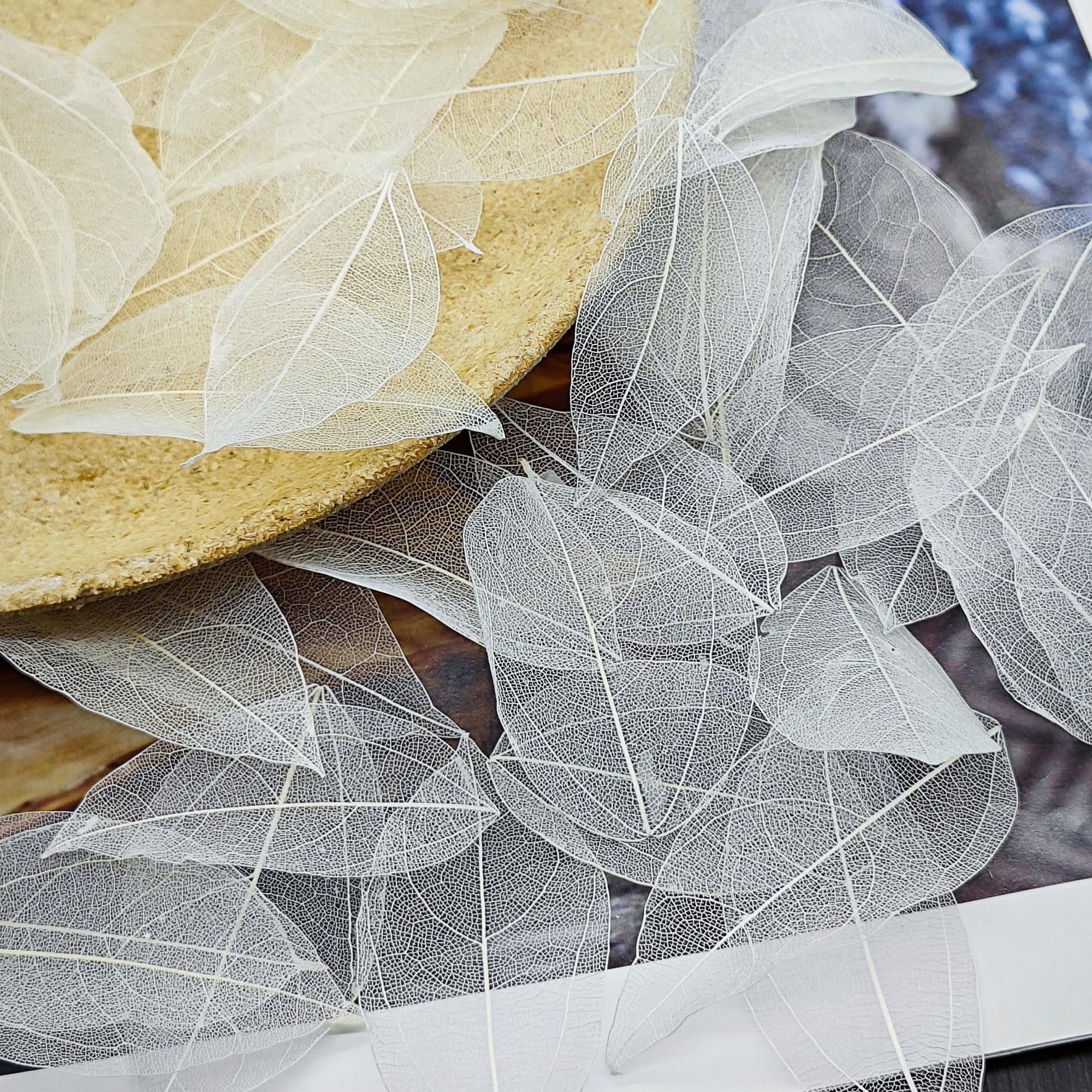 50 Piezas Naturales Esqueleto Hojas Secas MúLtiple Hojas Secas Reales Naturales Hojas Secas Mezcladas Utilizado para La FabricacióN De La Tarjeta del Arte del Libro De Recuerdos (Blanco)