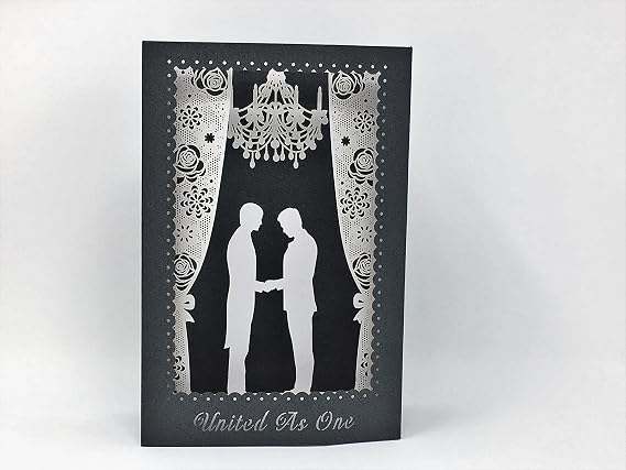Rain Cat POP UP Card, 3D Gay Wedding, Greeting Card