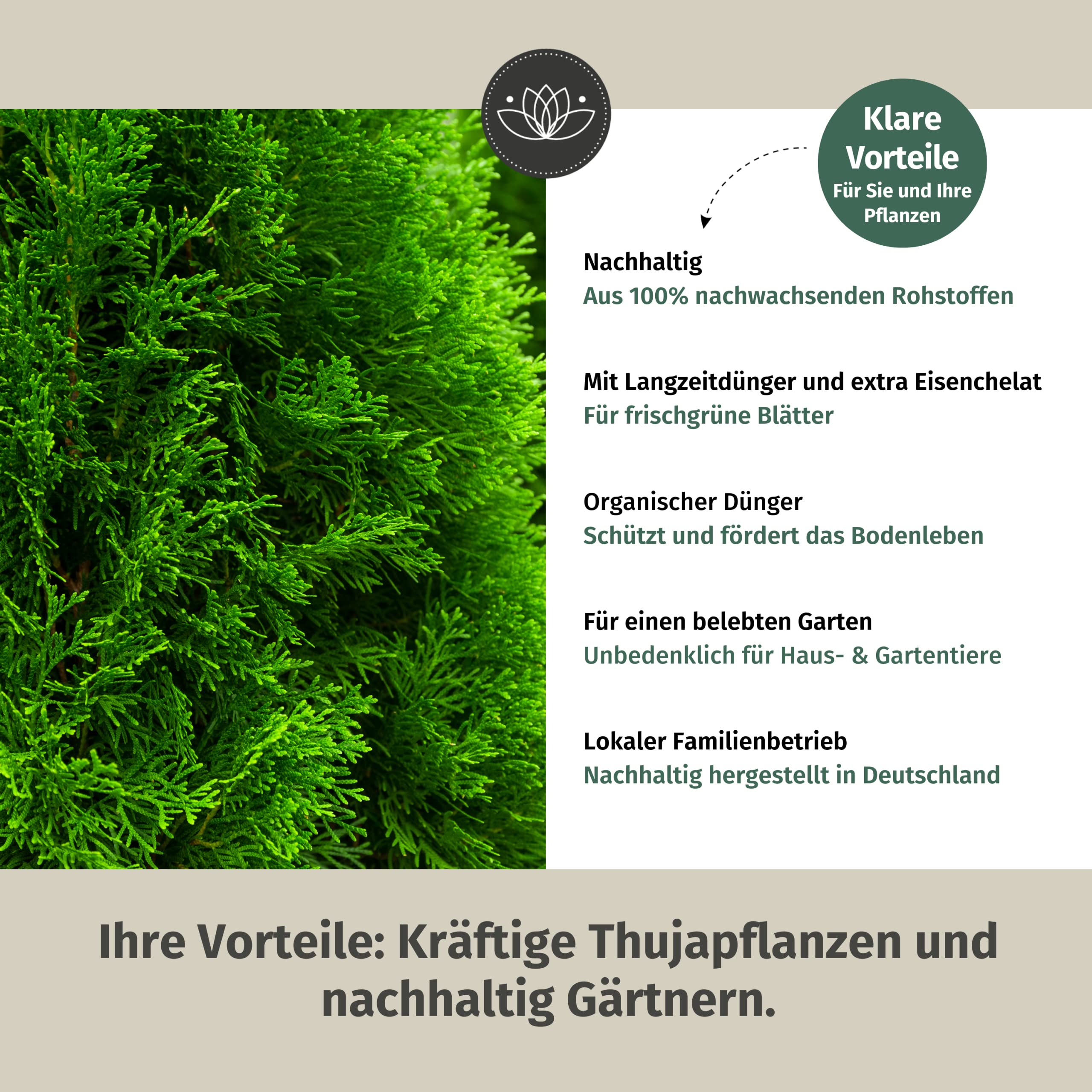 Bio Thuja Dnger Frhjahr Langzeit 5 Kg - 100% Bio & Tierfreundlich - NPK  Koniferen Dnger viel Kalium & Eisen fr frischgrne Nadeln - Tannen-Dnger  - Hecken-Dnger Thuja Smaragd : Amazon.de: Garten