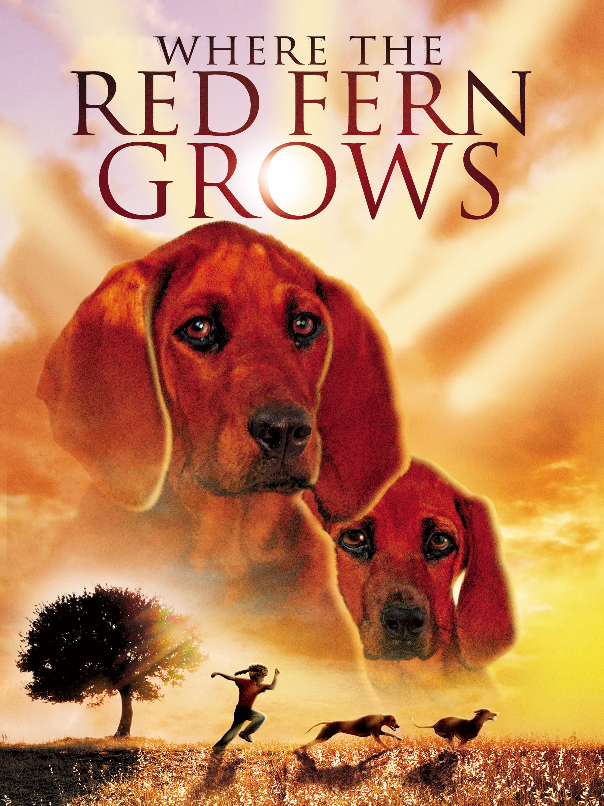 Where The Red Fern Grows