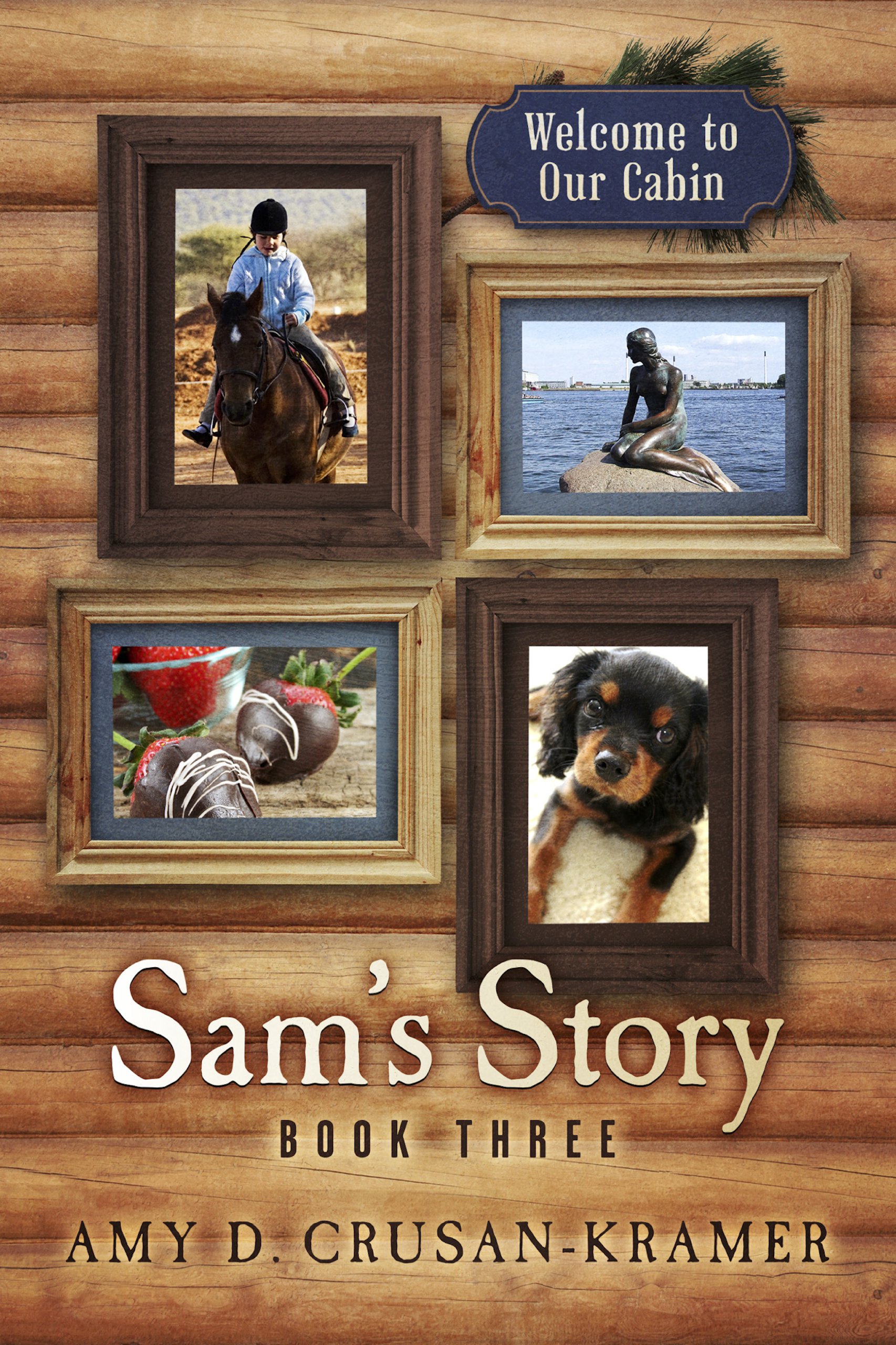 Sam Rainsy Book Book review of Sam's Story - Readers' Favorite: Book Reviews and Award ...
