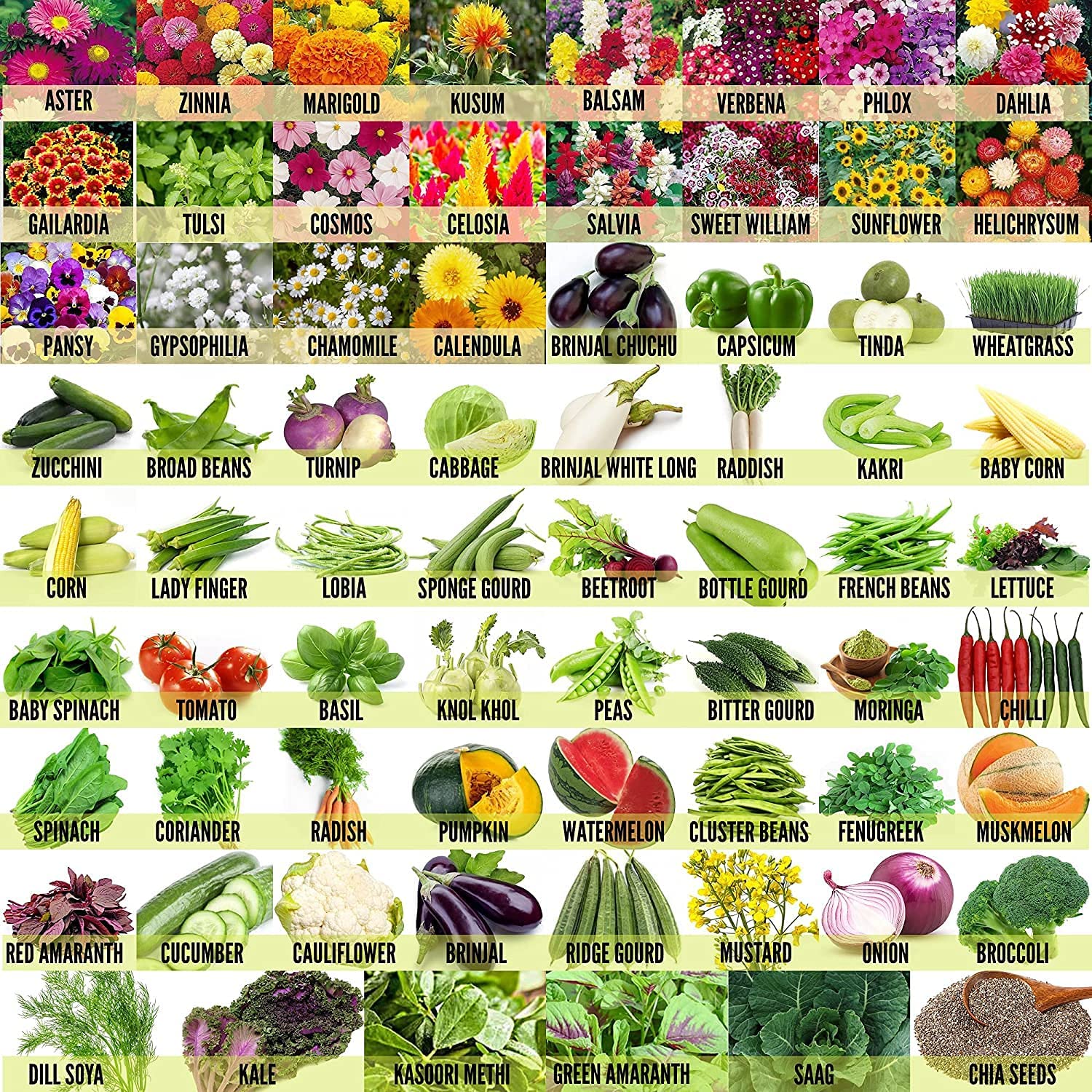 Seed Wala Vegetables & Flowers 45 Variety Seeds | Hybrid Seeds (B09VY2M7C1) Amazon Price History, Amazon Price Tracker