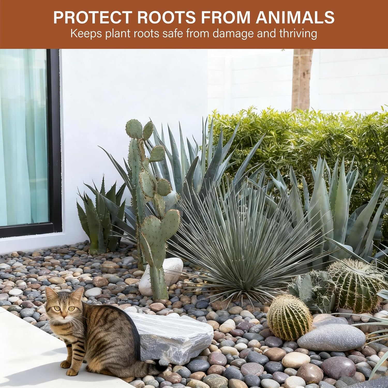 NUPICK 12lb Mexican Beach Pebbles, 2-3" Large River Rocks for Landscaping, Smooth Garden Rocks for Outdoor Paving, Natural Pebbles for Indoor Plants, Decorative Stones for Planters, Fish Tank,Fountain