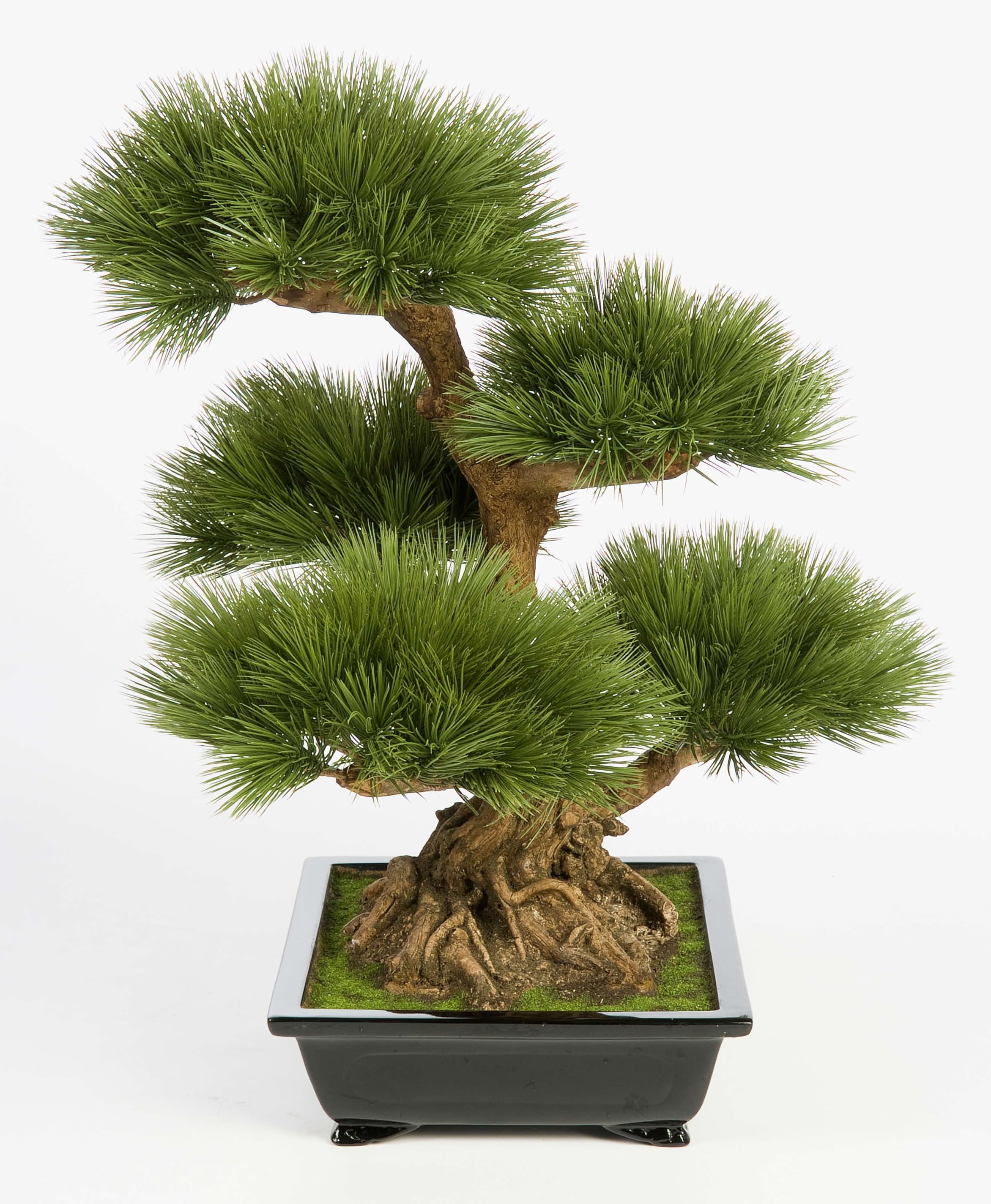 Amazon.de: artplants.de Knstlicher Bonsai Pinie in Bonsaischale, 125  Nadelzweige, 70cm - Kunstbonsai - Dekobaum