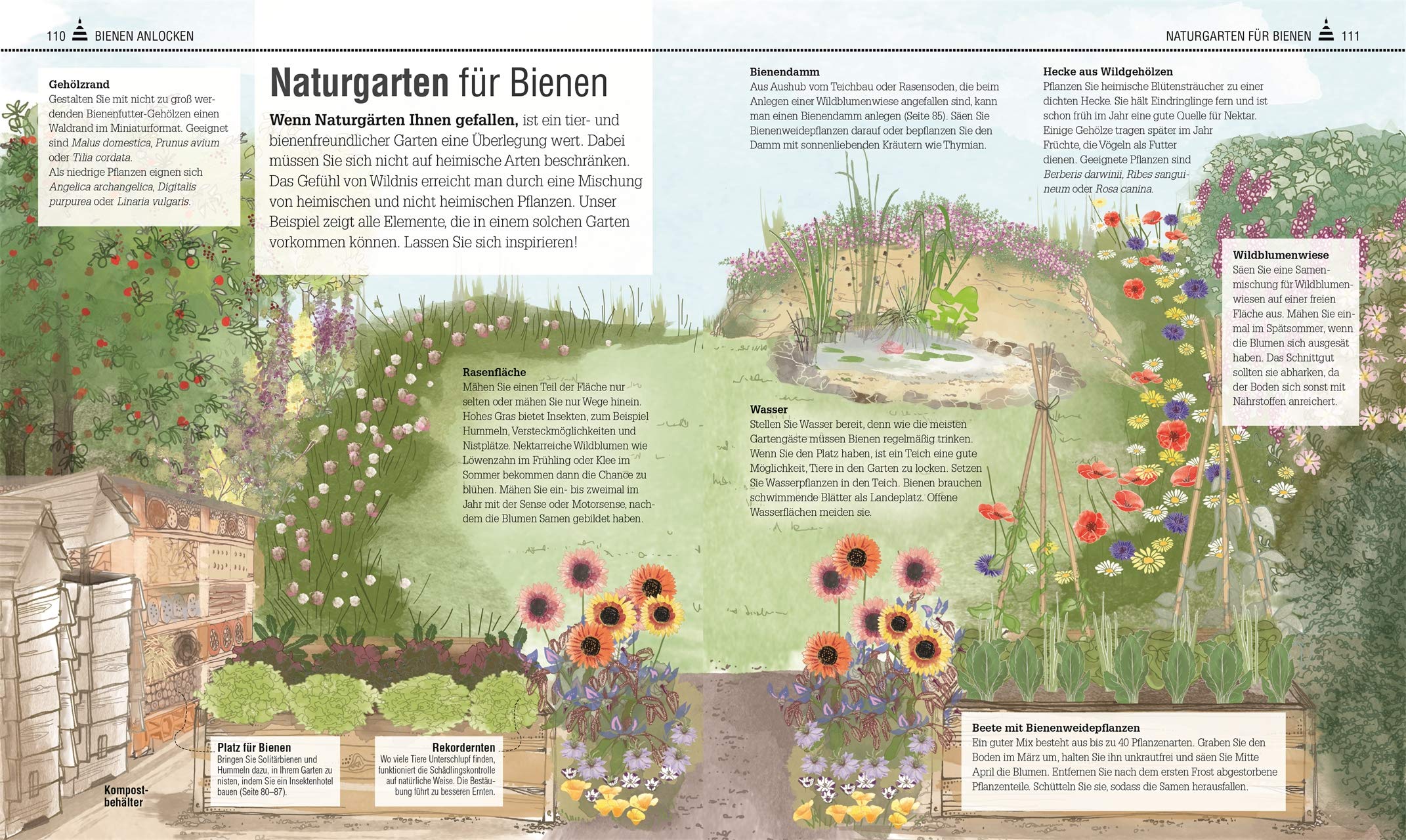 Das Bienen Buch: Bienen verstehen, schützen und halten