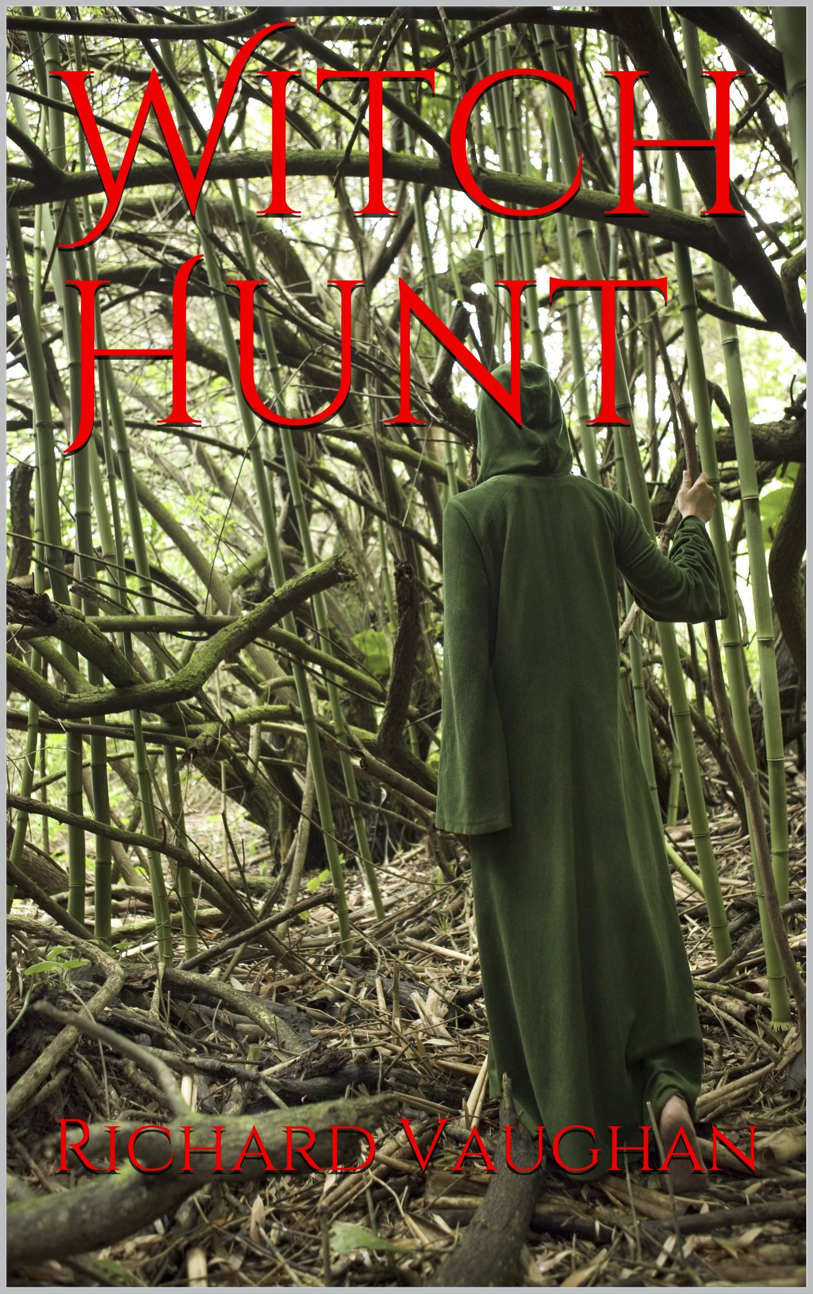 Witch Hunt (Broadman and Associates Book 2)