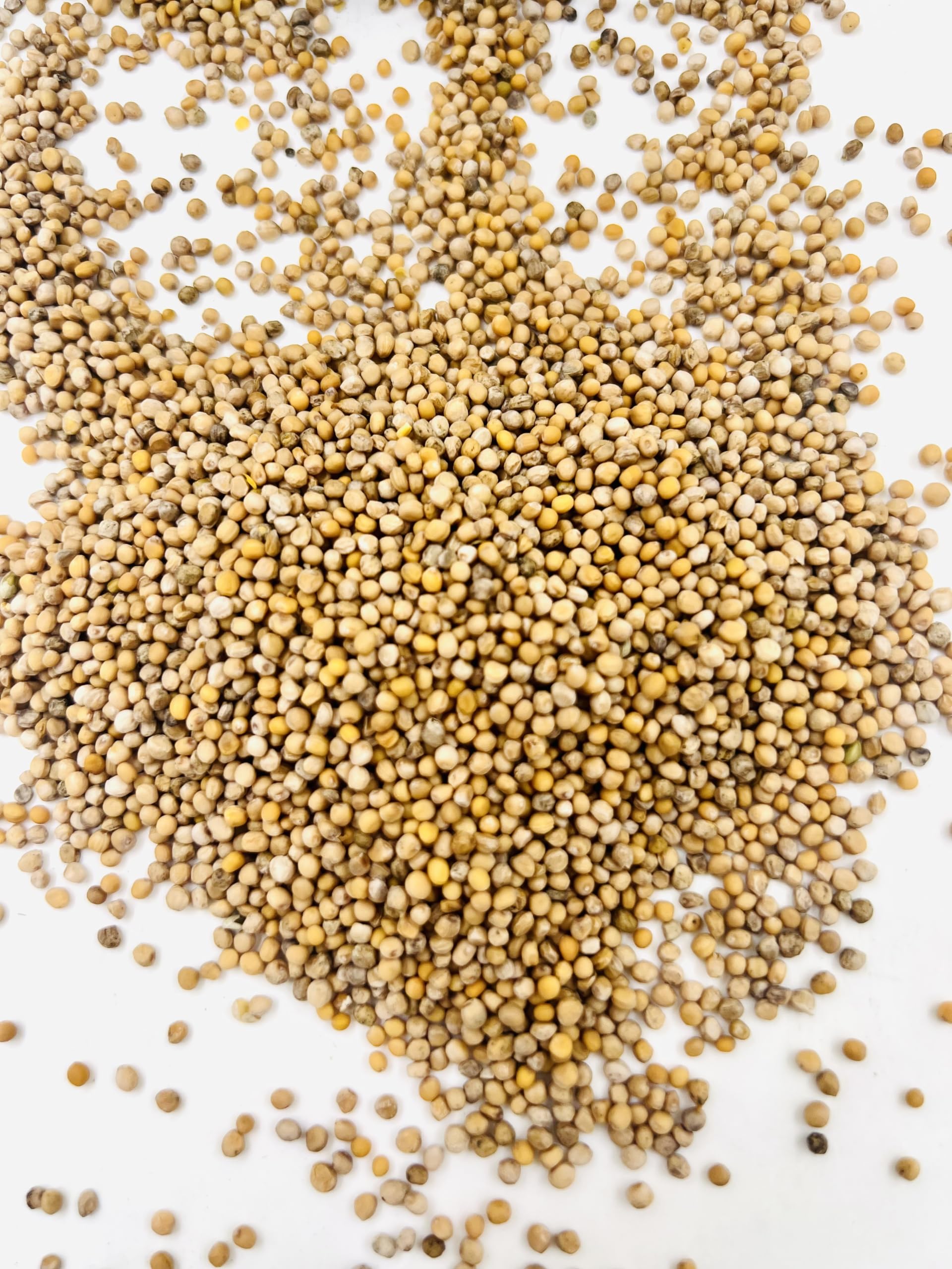 Graines De Moutarde Jaune: Bahadourian, Graines De Moutarde Jaune Sachet 100g, E