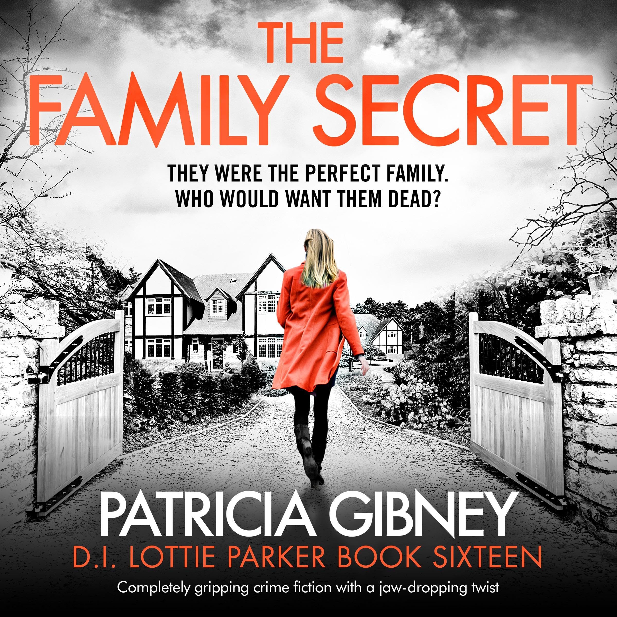 Cover art for The Family Secret