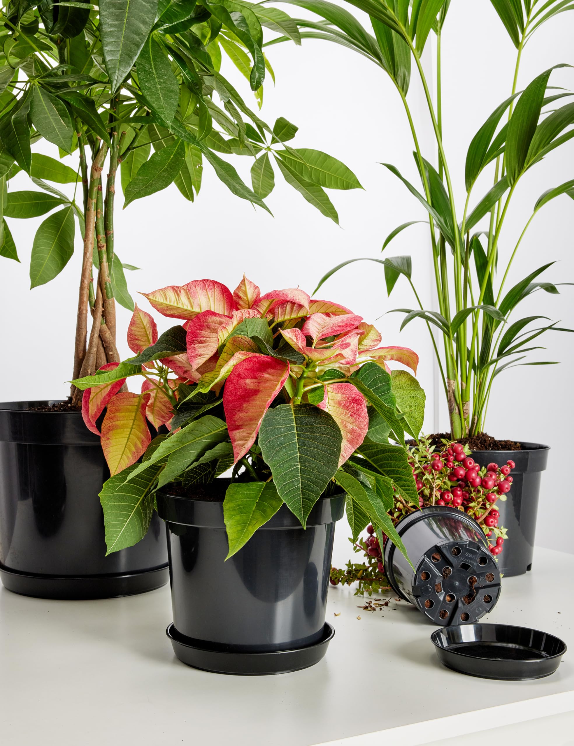Garronda Platos para Macetas de Producción Redondas 1 Unidad Pack de 5 o Pack de 10 GD-0026 (10 Piezas - Terracota, ⌀ 40cm H=5,2cm)
