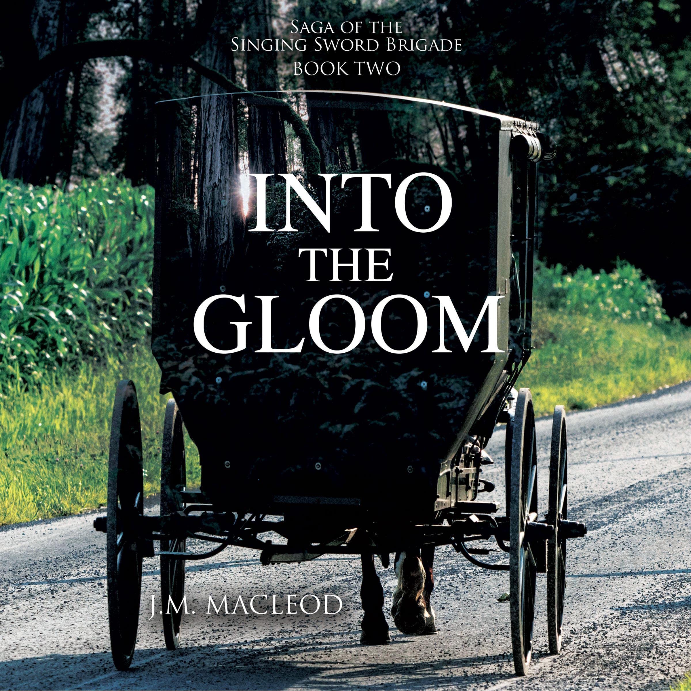 Cover art for Into the Gloom