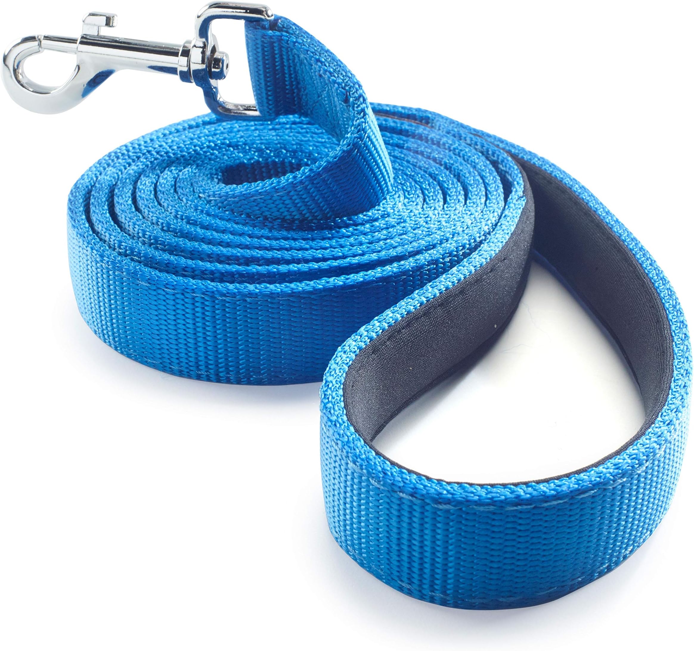 Dog Leash for Medium, Large and Small Dogs - 6 Foot Dog Leashes for Training and Daily Walks - Durable Sizes in Lightweight and Heavy Duty for Small and Large Breeds (2-Layer, Blue)
