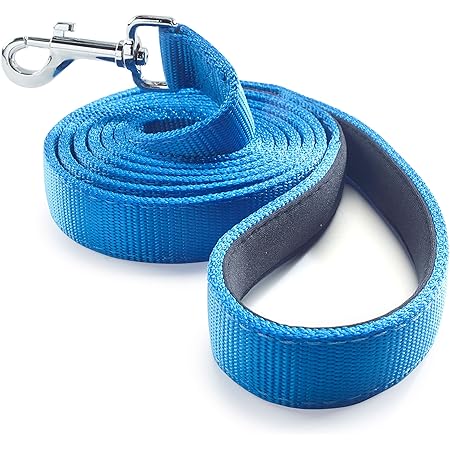 blue dog leash