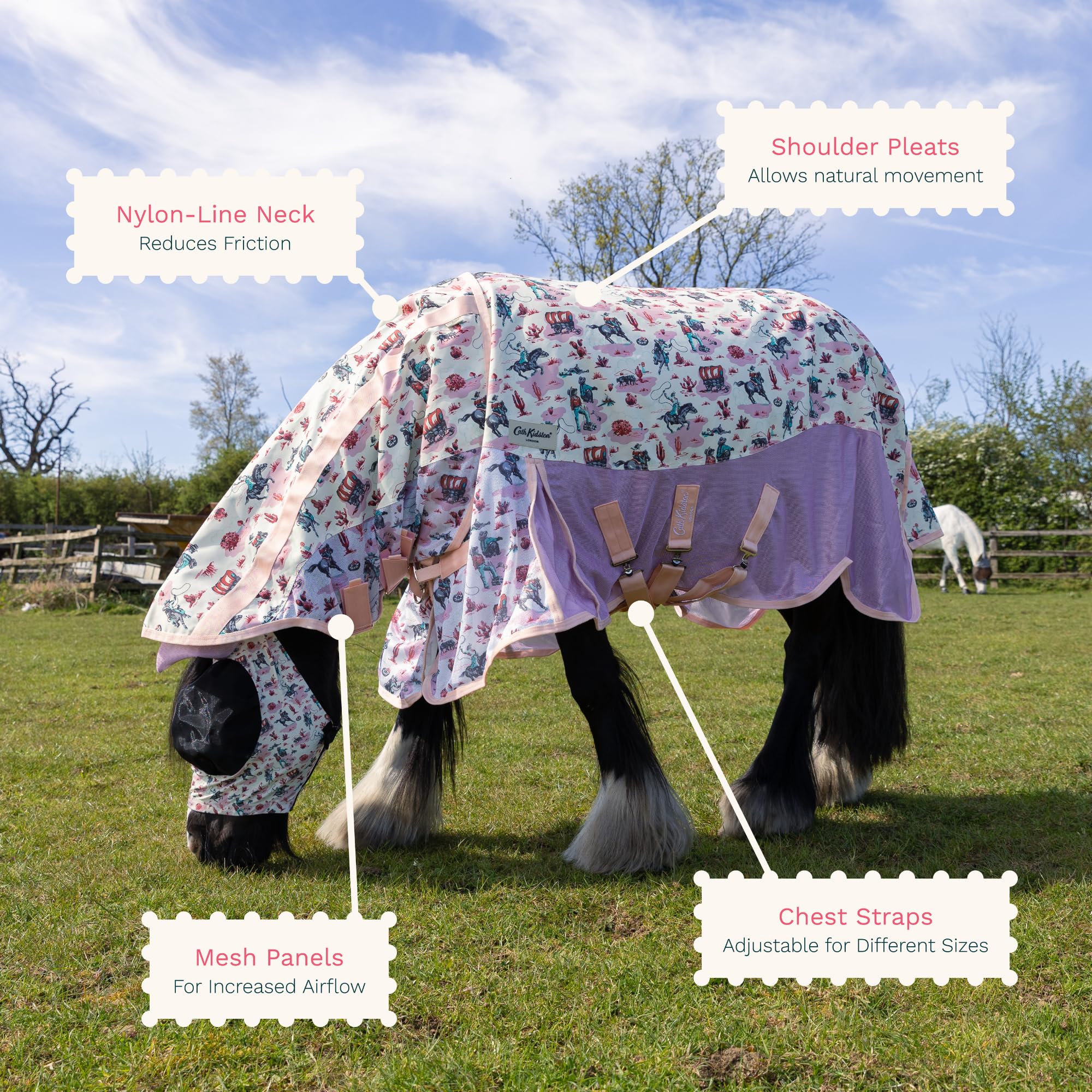 View 5