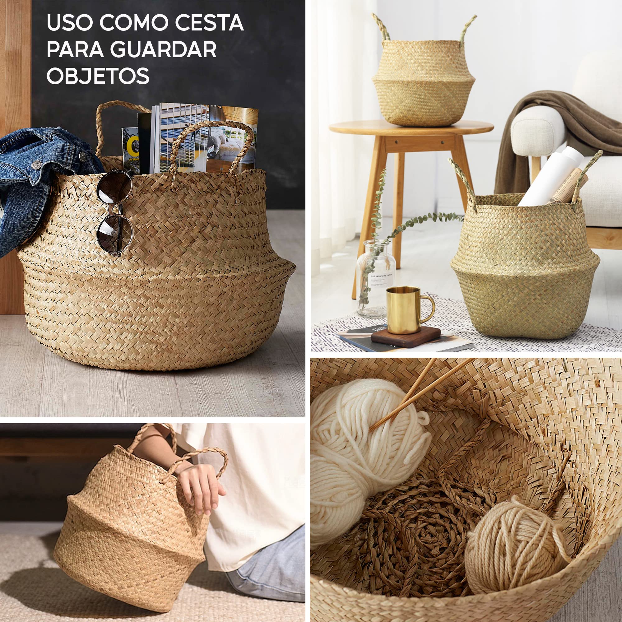 SEED Cesta de Mimbre para Plantas – Tejida a Mano con Mimbre Natural – Aporta Orden y Calidez – Ideal como Cubremacetas Decorativo Interior y Almacenaje – Incluye Semillas de Regalo (Tamaño M)