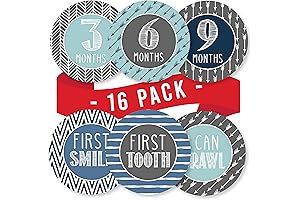 16 Monthly Baby Milestone Stickers for Baby Boys - Precious Monthly Photo Picture Props